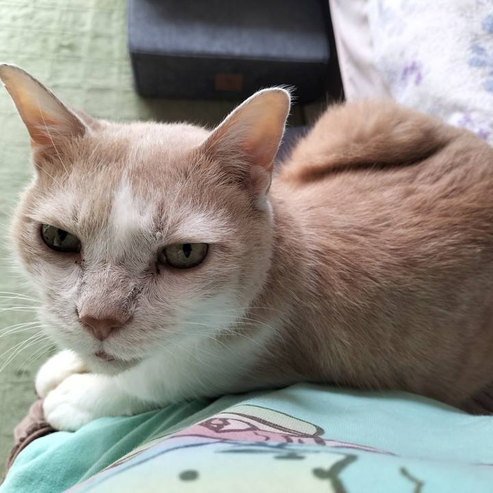 9ec86f9f 1389 4e53 ab80 9924c4819a0b 1663541371557