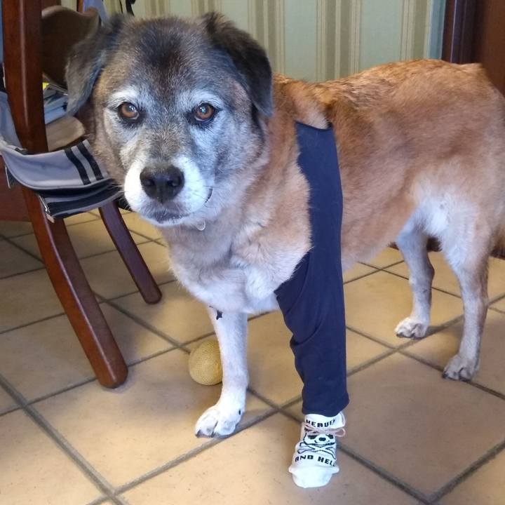 9ec894f0 a36f 4f50 8266 721f17626fa9 1565434321743