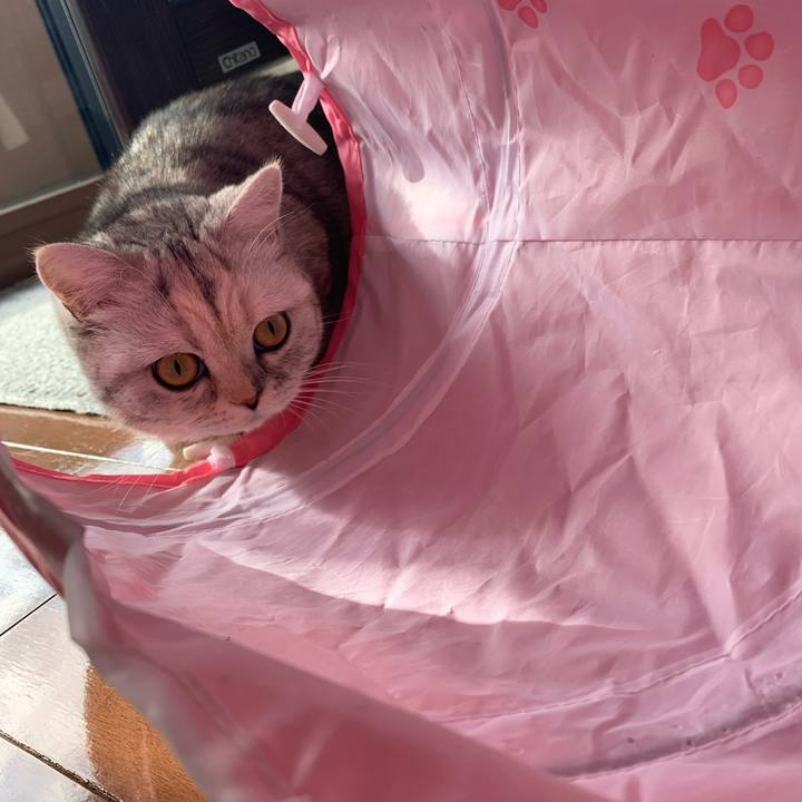 9ec8a393 e600 4fce 909e 4d5aa6d64ed4 1707609773320