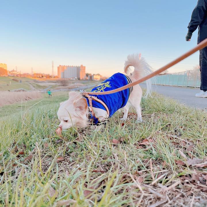 9ec8c198 0638 4ebd 9cbe e1c161c045f6 1672135445321