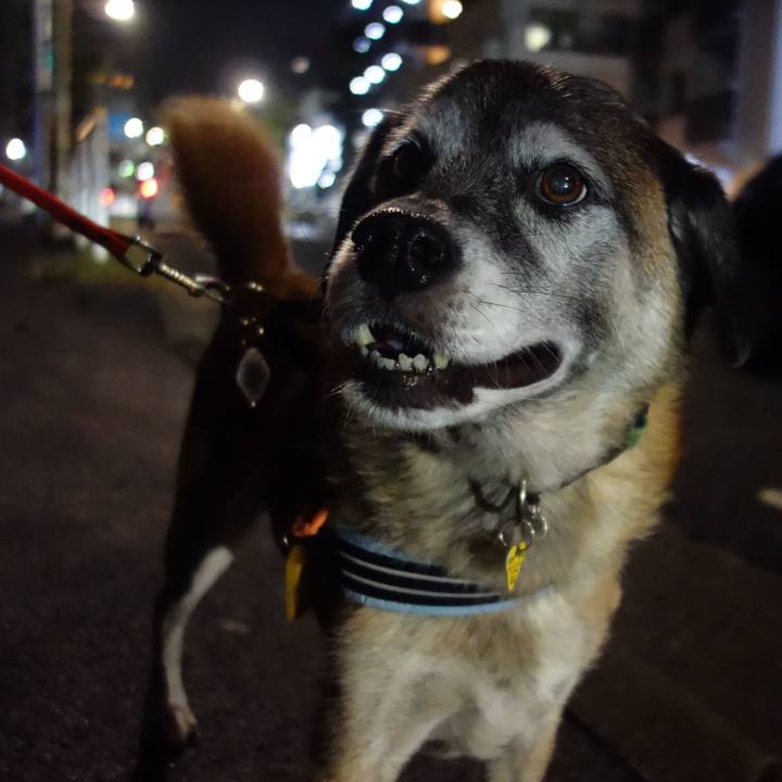 9ec8cb3f 7ec8 42d9 8df2 a0de06a23a3a 1572345745678