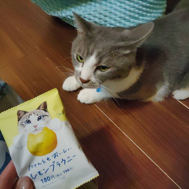 9ec8ddeb 8607 4546 b5c6 0dd0a64a45fd 1692019626622