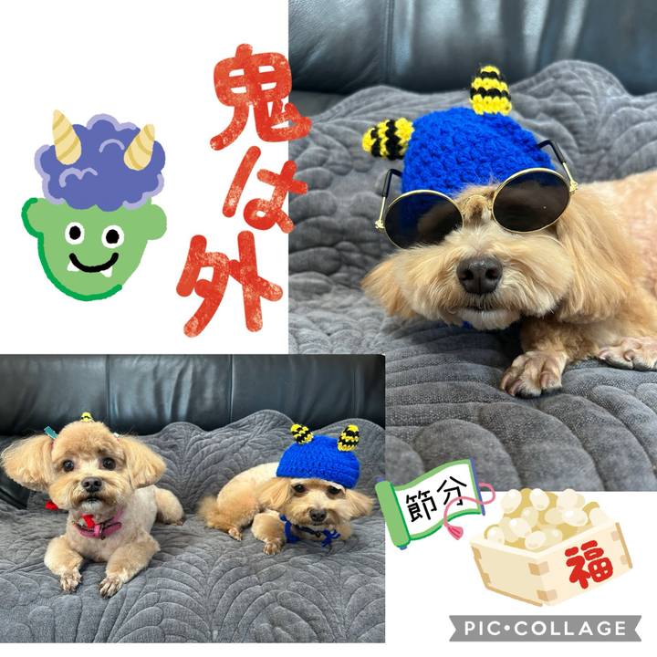 9ec8e88b 5e51 4713 bbc7 e478f6226b39 1738460449663