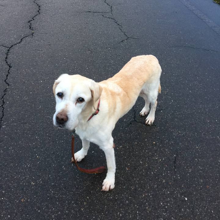 9ec90def a5d3 4019 8704 e83c3c8a8dea 1541071180031