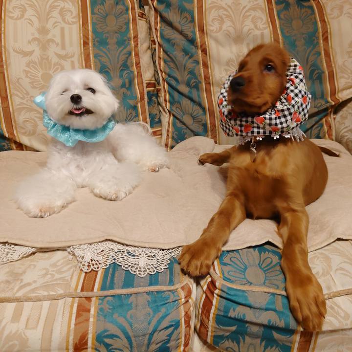 9ec91c12 5396 4d45 836c 48b2a32eb8c4 1629382567791