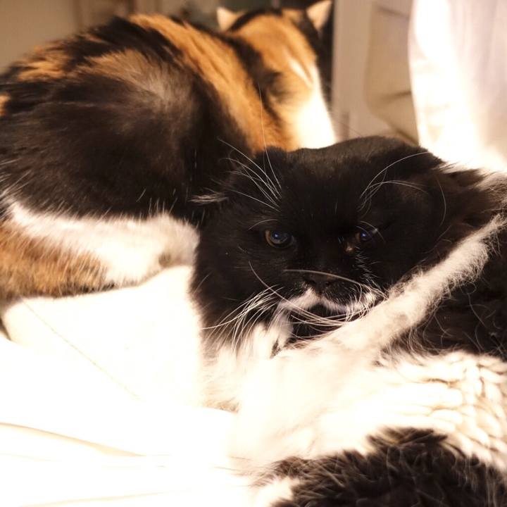 9ec9502f e16e 45b8 be4d a3f78d5eb061 1512816053375