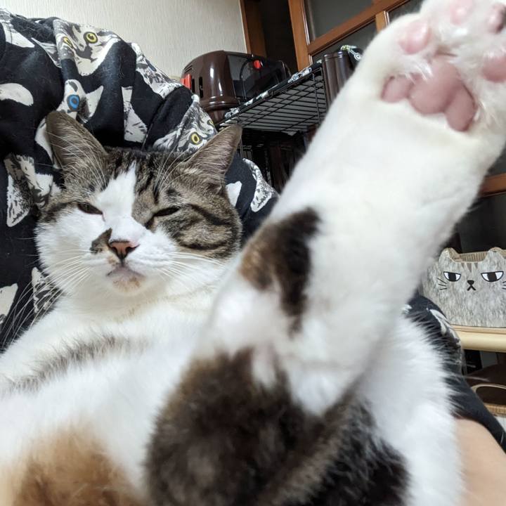 9ec9737b e21d 4af8 90ff c9fd3c9ae939 1702818208260