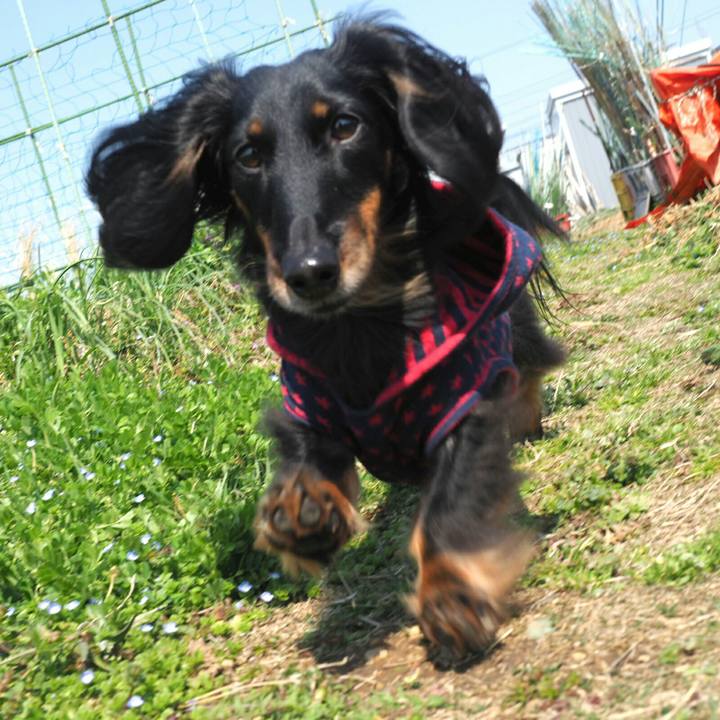 9ec98166 9cda 4661 9c44 d1acff92e854 1555555771347