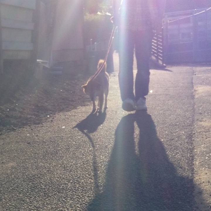 9ec98878 3d36 41ee 950b 893e883d16d0 1530435708280