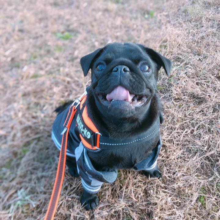 9ec9930a 62e4 4e44 baf4 13421b06f55b 1605222575645