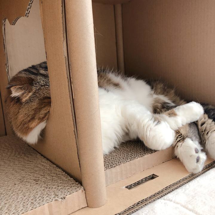 9ec9c145 0784 4fbb 8809 88764223102e 1597032824144