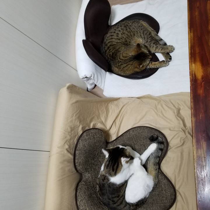 9ec9f380 2379 4243 892f b76852baff24 1612875510323