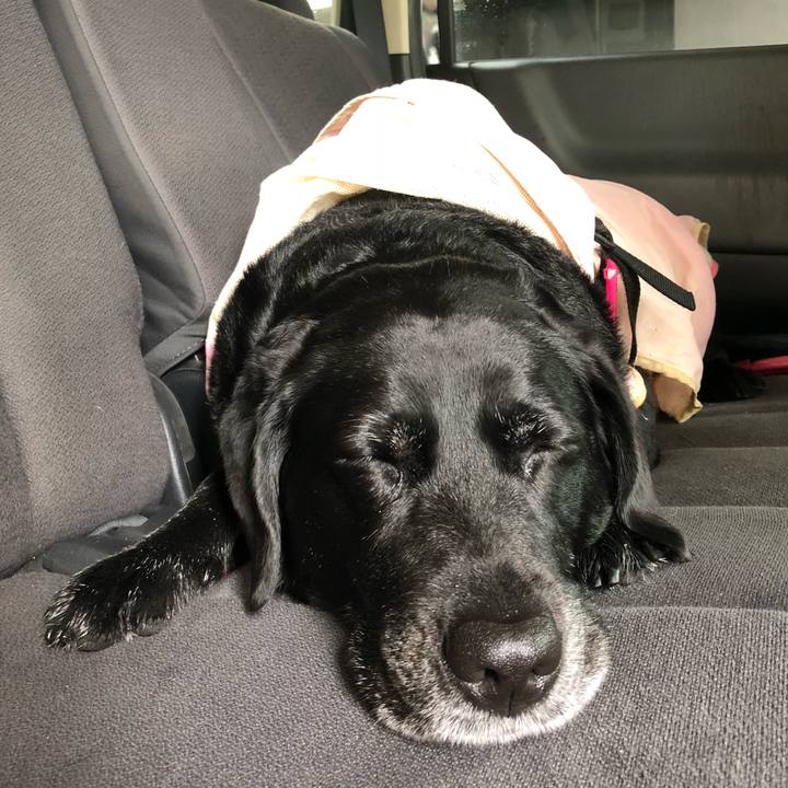 9eca0657 dc2b 4f18 b486 1a76b5e0d338 1525829468856