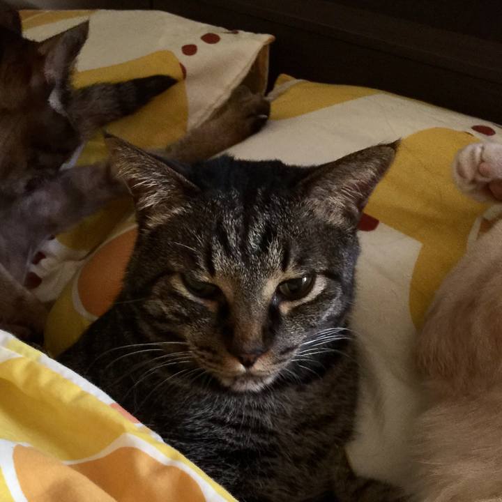 9eca14f1 af5f 413b 8ad7 10ff6ea7ca48 1525039538540