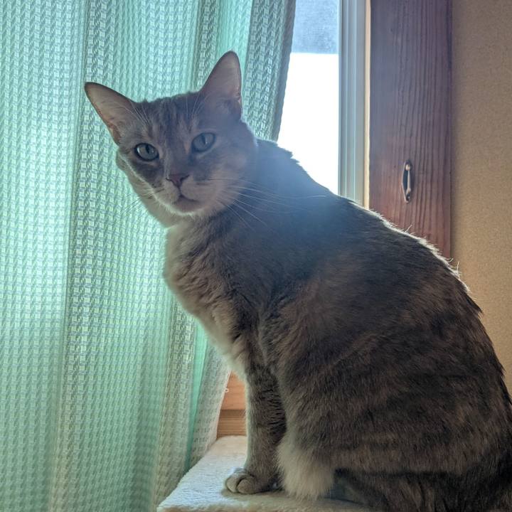 9eca1600 0226 47e4 b519 04f217326a79 1743054918417