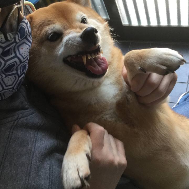 9eca7c23 3702 4df5 8ede 7912a5d8a283 1588390152396