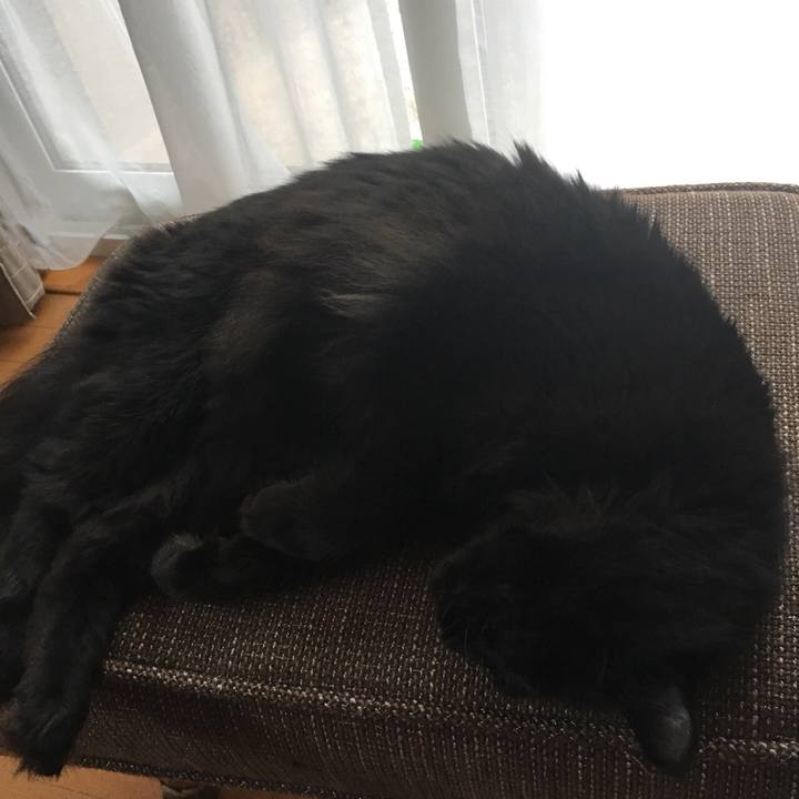 9eca88f9 9bce 44a5 a2bc ef5ddf83f792 1528775242650