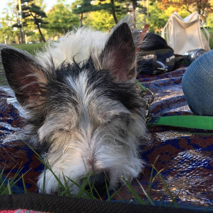 9eca8fde e4a0 4b09 a0be 9ab6fceb5ff8 1538910582775