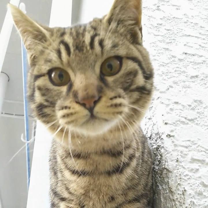 9ecaaf76 9005 4274 9352 36c6bec87c61 1552465122202