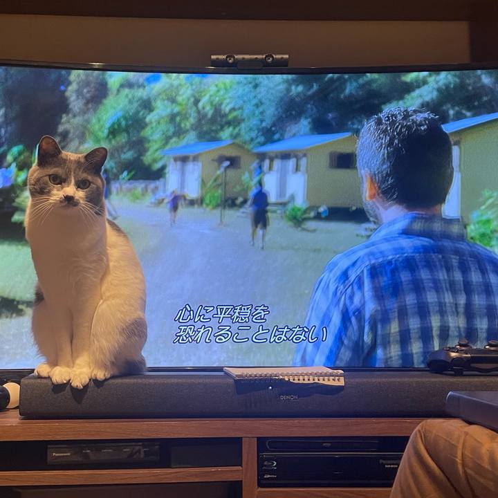 9ecab584 fe08 4d8e 8c54 c11e9cd20f08 1677669641528