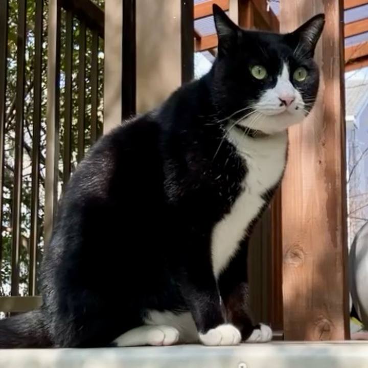 9ecad34c 2d2b 49e6 90ce c1067ec025e6 1743215749467