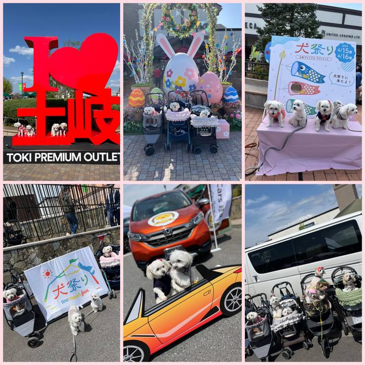 9ecadbbd 97d3 4abd b1de 5beb1d2c92ec 1681645140314