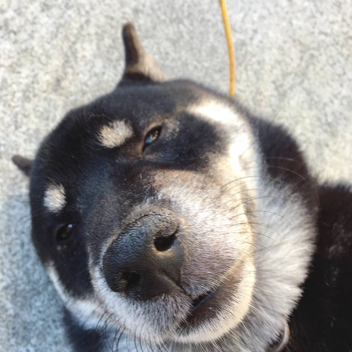 9ecaf90e d1f6 48fc aa0e 8d901b7509c5 1543043951552