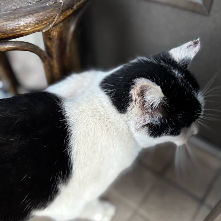 9ecb1f82 2fdd 4b86 ae6b e0714450b13c 1766479470482