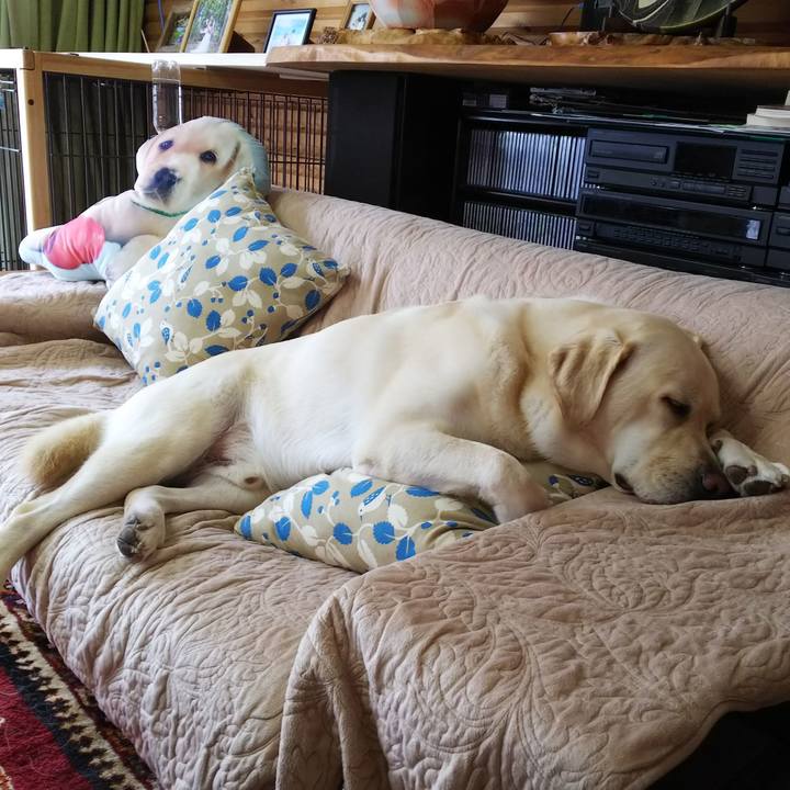 9ecb355b b6f6 412e a550 a3b461e2244d 1563501998169