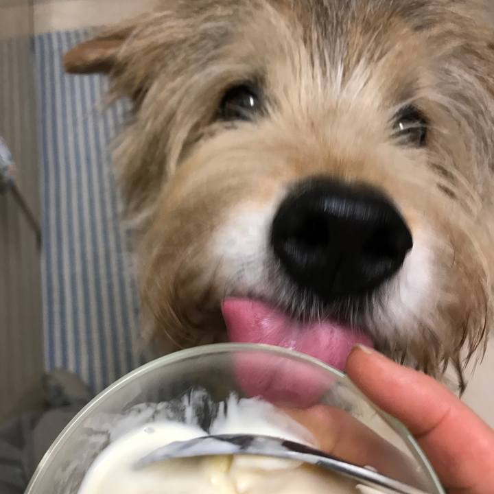 9ecb5d13 7f13 487b ab41 ab68dc673a86 1612796231540