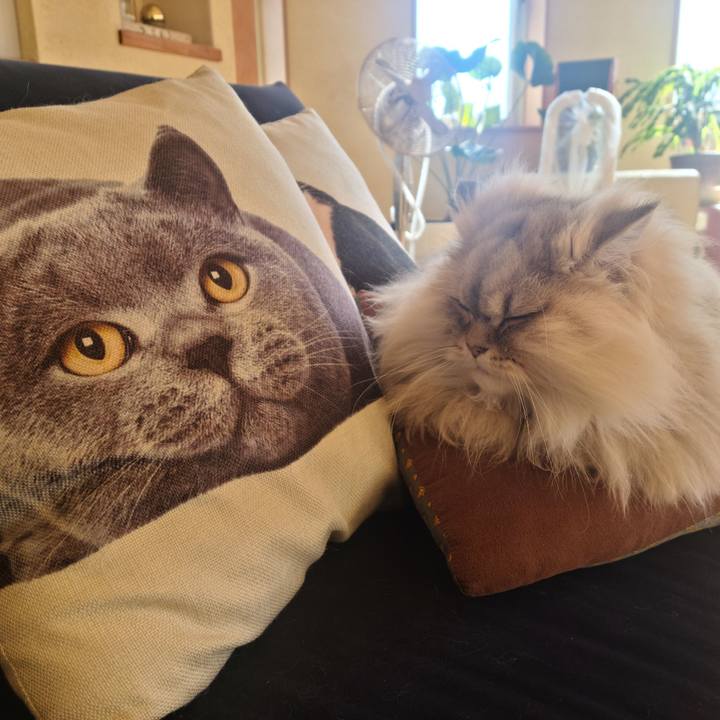 9ecb7eed 323e 4416 8383 36ef9f0463ab 1676337275654