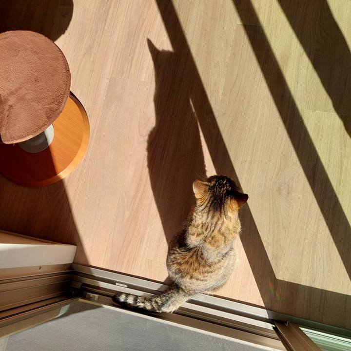 9ecb9005 7e40 4ec2 827e aa6b2c51e670 1698624375448