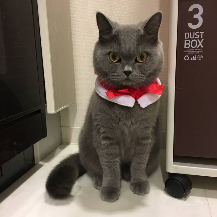 9ecb9712 fc0c 41da bbf4 7ae934307f84 1510996948733