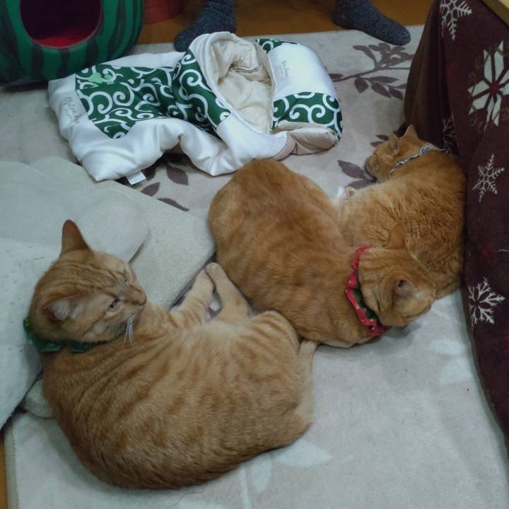 9ecba606 fbee 4323 bfe8 c5f861848c7e 1642317995708