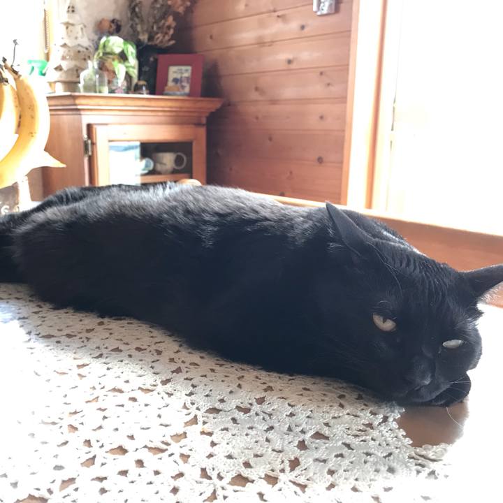 9ecbc01b 7c0f 4958 81b7 ff6bbc46047e 1650671840618