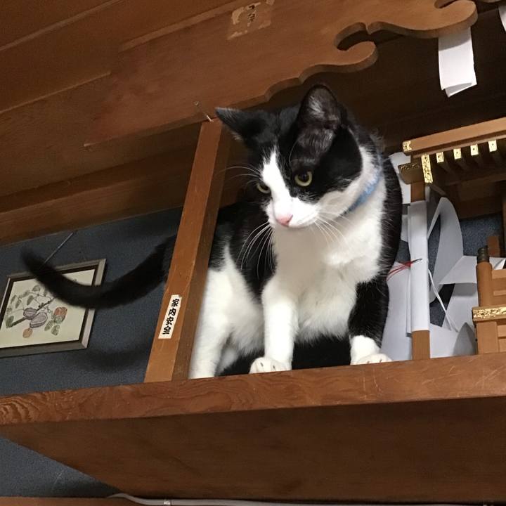 9ecbd063 d6fe 4f5e 9ed2 32918634826f 1741597605859