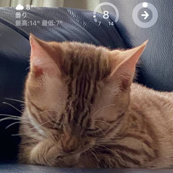 9ecc283e 0e30 44d1 befe 54487f45577d 1679960993844