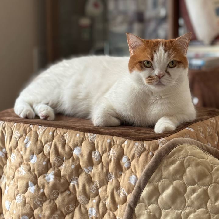 9ecc3ac7 36de 44d3 8e5c 9dc089dd4ff0 1764212653971