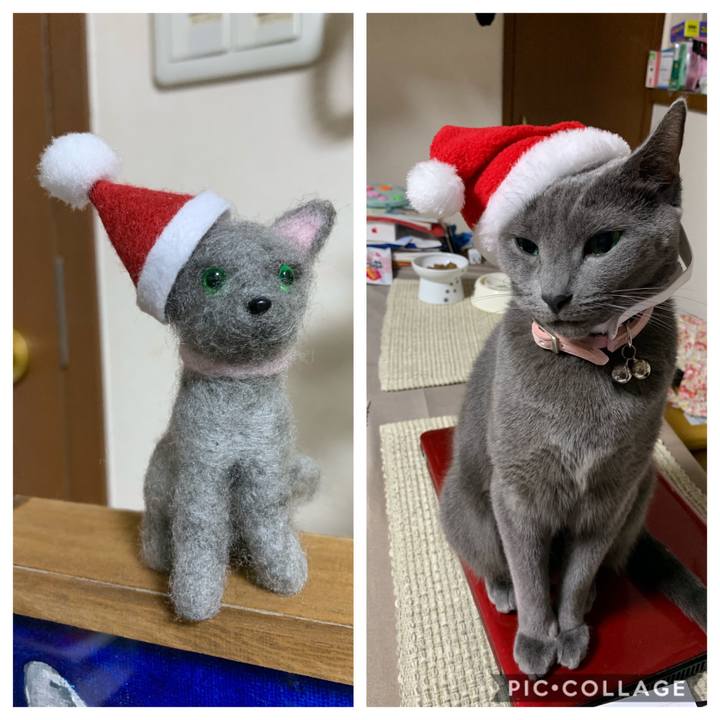 9ecc474e 3944 47a7 a81c f82f309bb97f 1574999960505