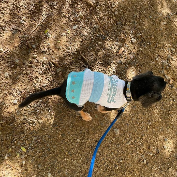 9ecc7a0e 5199 4448 9f04 ed03d8954293 1632096466477