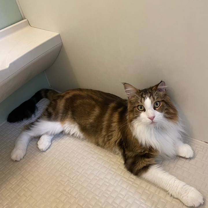 9ecc7a46 6bb5 4dae b82d 095080093529 1664137066978