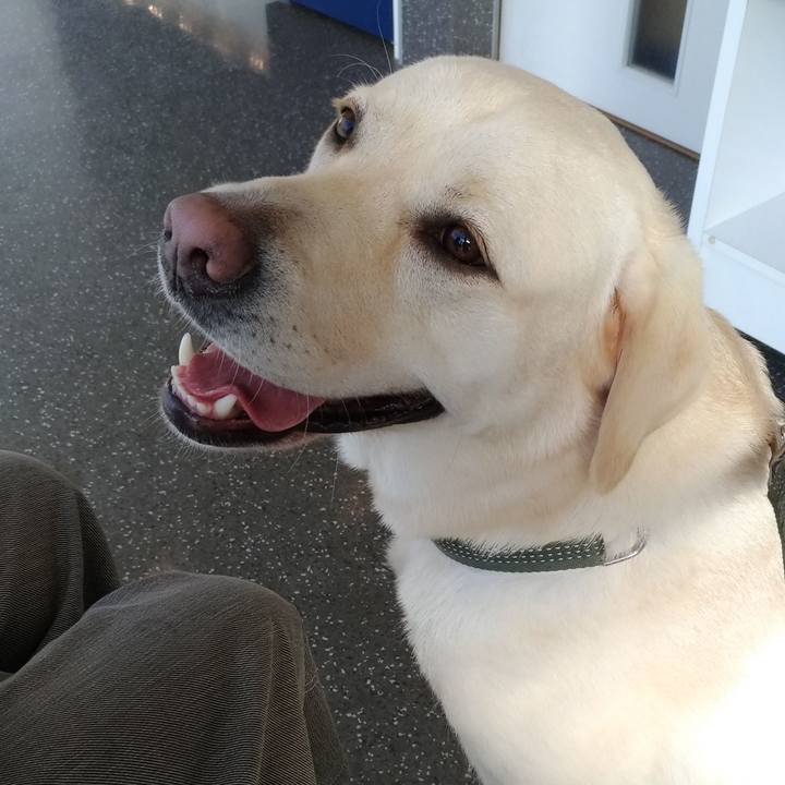 9eccb558 94d7 40e0 af1b 5f85f0e97e09 1530447482722