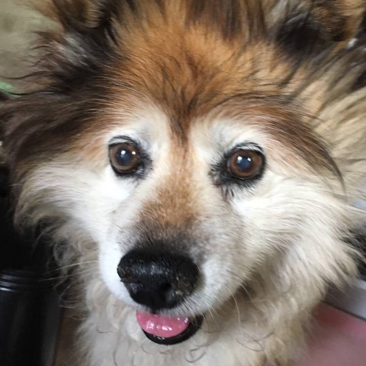 9eccd548 0fc8 422b 8abc 2d0976c42943 1558652777776