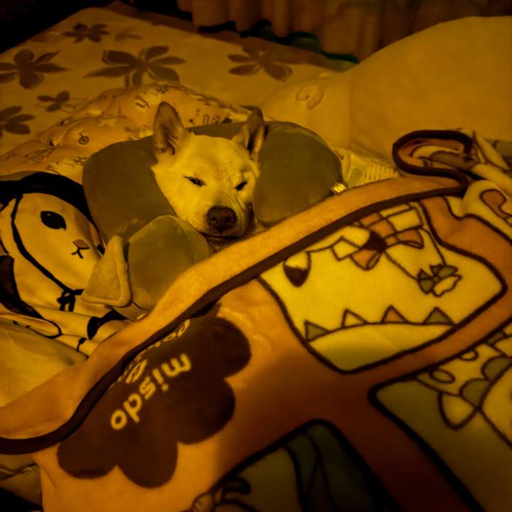 9eccd950 782d 4711 81b9 6518162fc0c9 1704213852748