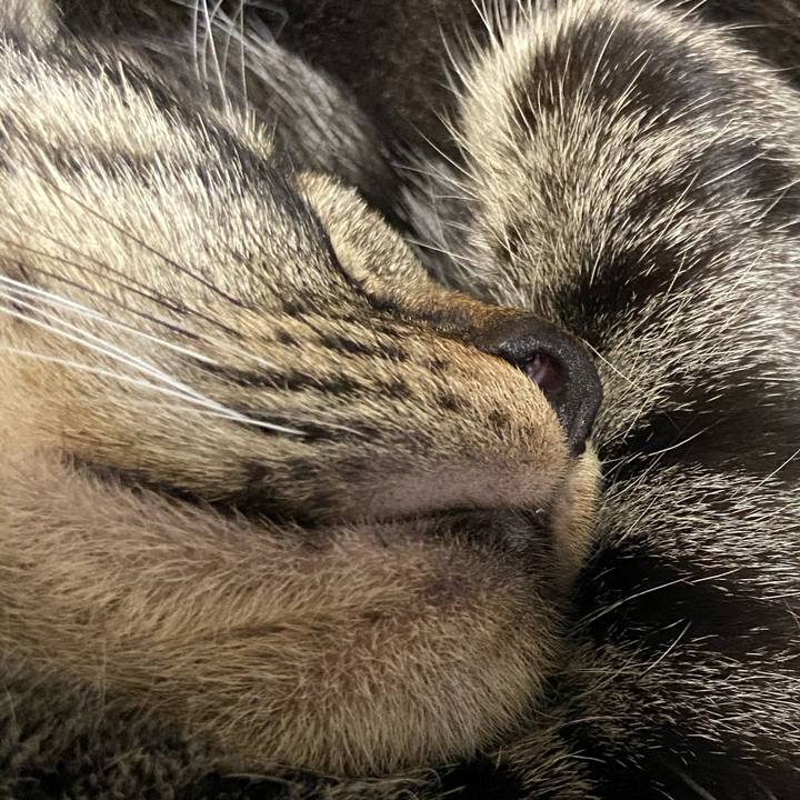 9ecd2683 6baf 4444 9269 c0489210ab65 1620472138559