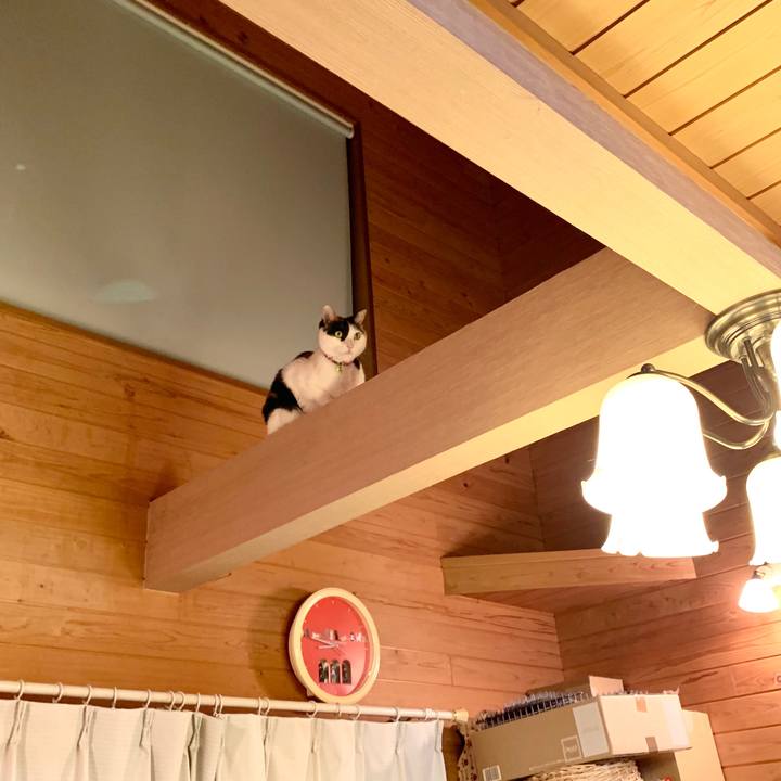 9ecd3500 327f 4ae5 bf70 c20ccdb962ea 1579434243764