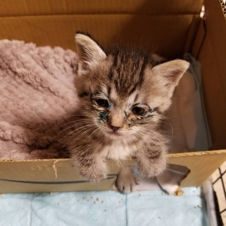 9ecd42e0 66d9 4126 aa67 266f8455f4f0 1660406649625