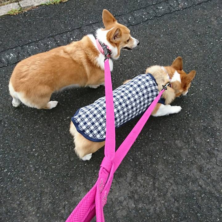 9ecd5849 1c6d 4f84 b0e7 0fd9d7c1b331 1533605091033