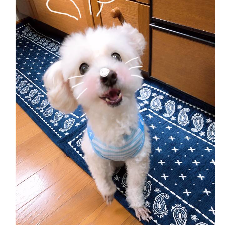 9ecd68ee c4d2 4515 b0a6 9fb218783fca 1557788540218