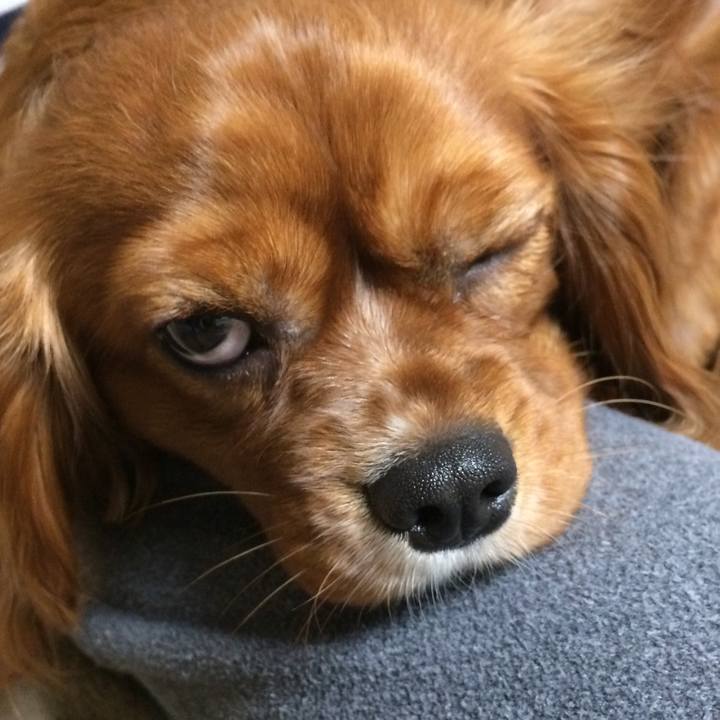 9ecd786b 4d8d 4fff b43a 9e2947bac7a9 1519249365614